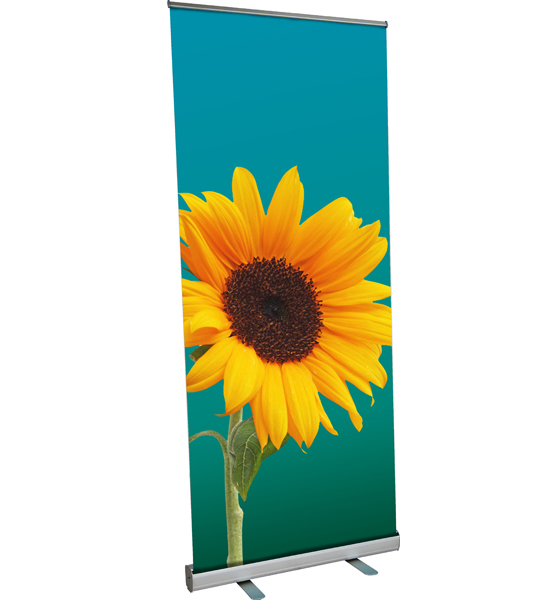 Rollup Premium Rollup Premium