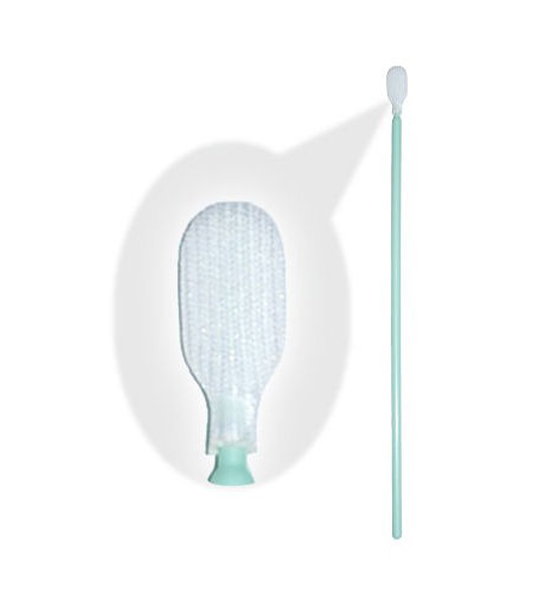 Baumwolle (klein kopf) Baumwolle (klein kopf)